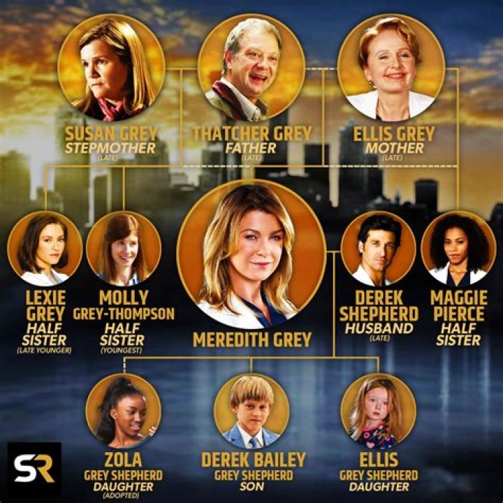 Unraveling The Mystery Of Meredith Grey's Height