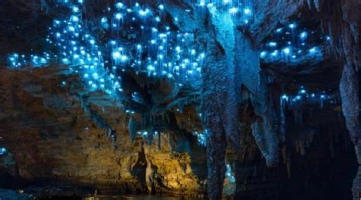 Unveiling Bronte Sheppeard's Age: Insights And Discoveries