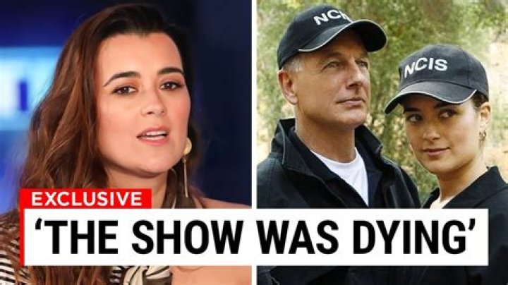 Unveiling Cote De Pablo's Daughter's Age: Discoveries And Insights