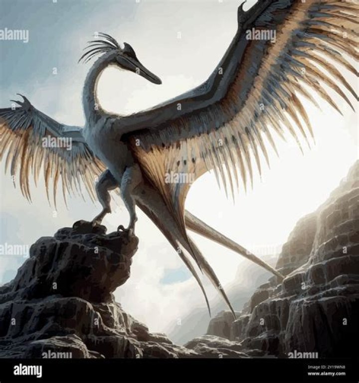 Unveiling Darby Hendrickson's Salary: Unlocking Insights And Discoveries