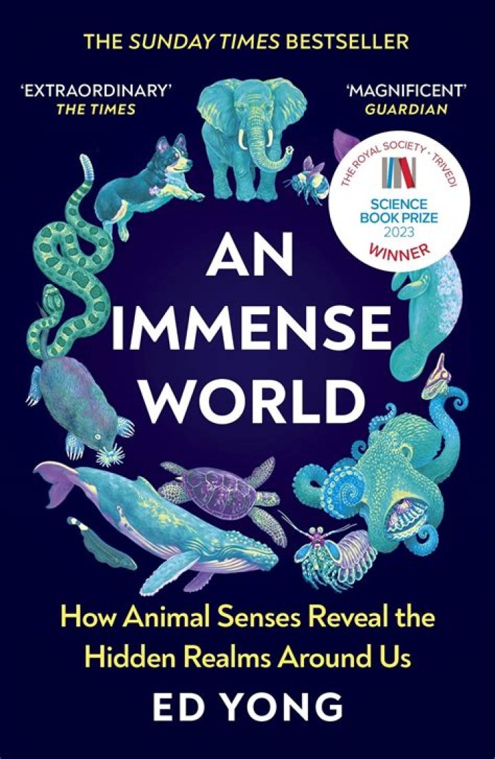 Unveiling Hamish Harding's Captivating World For Young Readers: Insights And Surprises