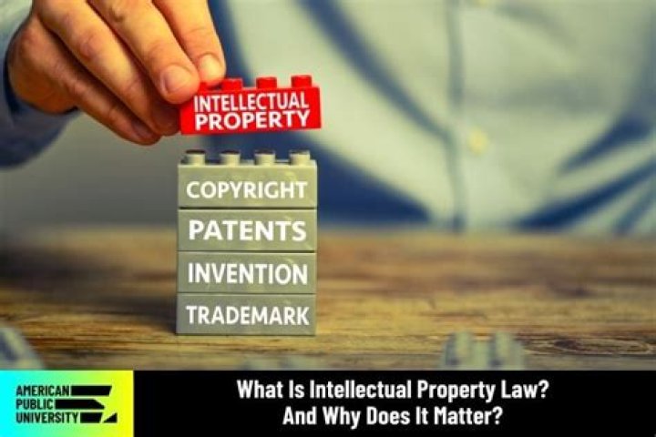 Unveiling Intellectual Property Law's Luminary: Julie Roskies Litman