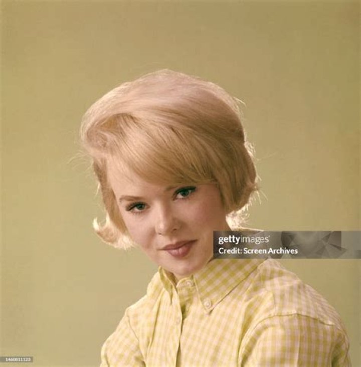 Unveiling Joey Heatherton's Captivating Legacy: Exploring Her Biography