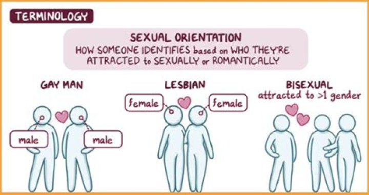 Unveiling Rachel True's Sexual Orientation