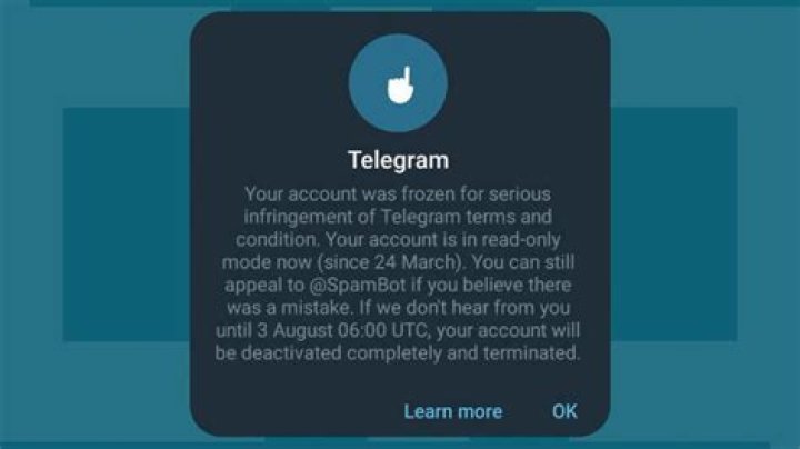 Unveiling Sophie Rain on Telegram: Your Ultimate Guide