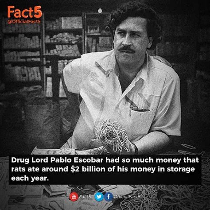 Unveiling The Daily Wealth Of Pablo Escobar: How Much Money Was Escobar Making A Day?
