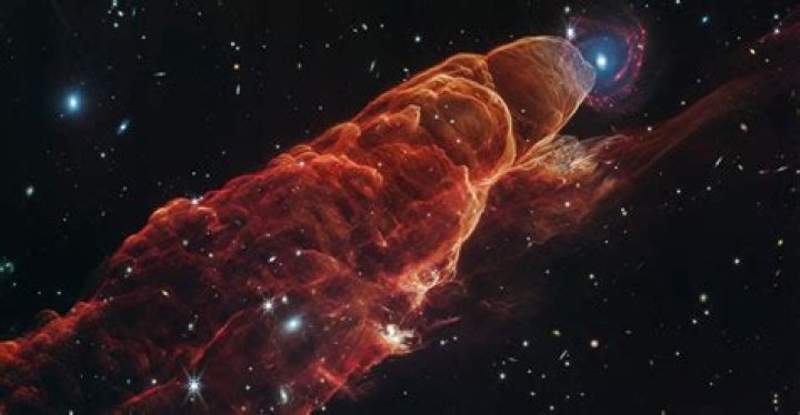 Unveiling The Enchanting Eyes Of Sydney Webb: Discoveries And Insights