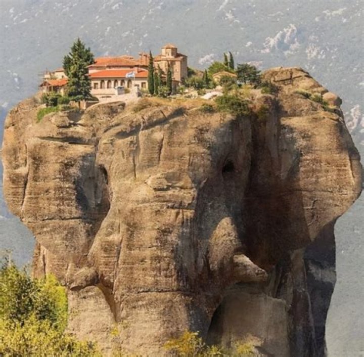 Unveiling The Enchanting World Of Alicia Shearer: Discoveries And Insights Await