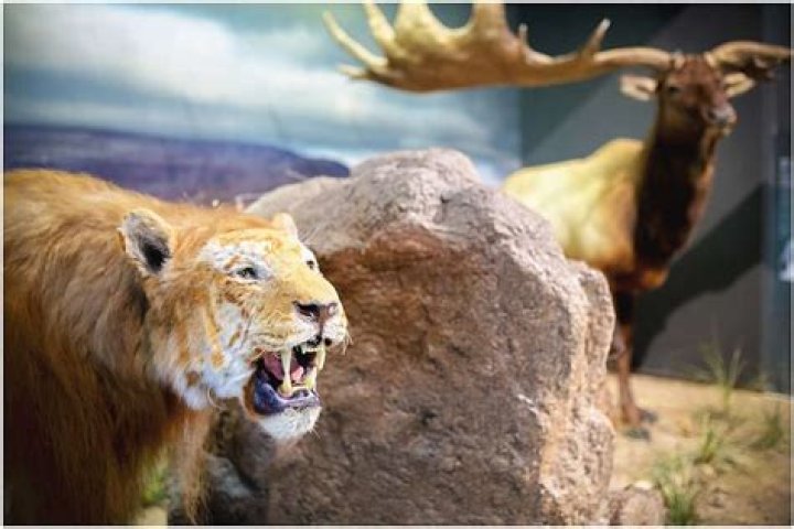 Unveiling The Enduring Legacy Of Selena: Discoveries And Insights