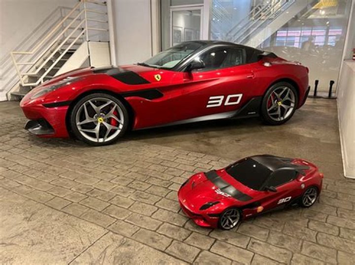 Unveiling The Enigma: Floriana Nalin Ferrari