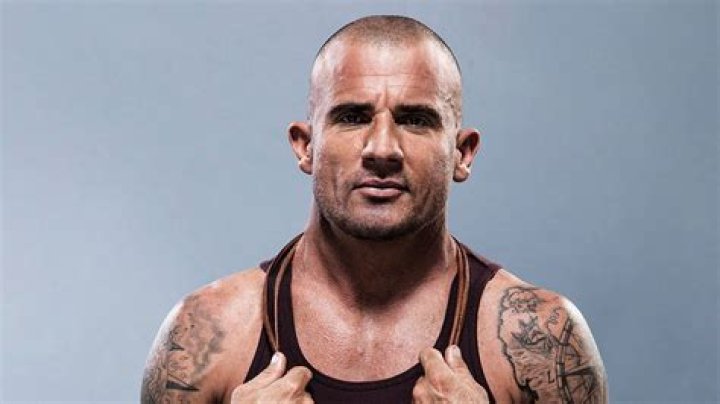Unveiling The Enigmatic Height Of Dominic Purcell