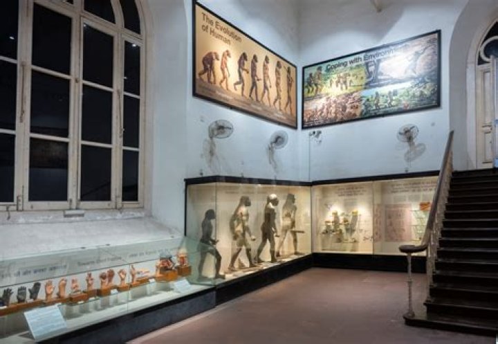 Unveiling The Heritage And Evolution Of Kustom Interiors