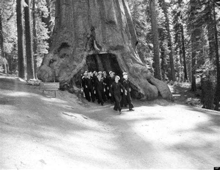 Unveiling The History Of Yosemite Through Captivating Images
