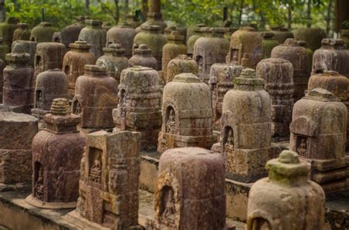 Unveiling The Multifaceted Legacy Of Fatima Munshi: Discoveries And Insights