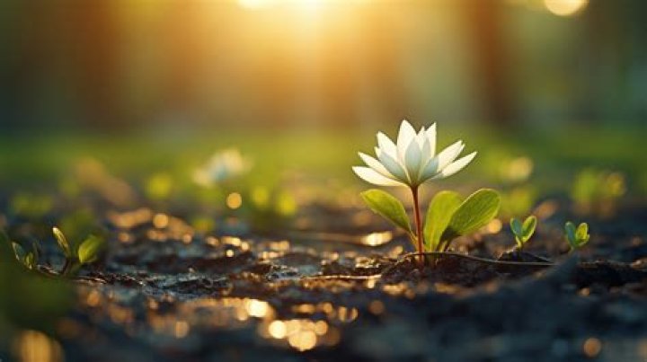 Unveiling The Profound Power Of "You Mean The World To Me" Messages In Tuk29 Connections