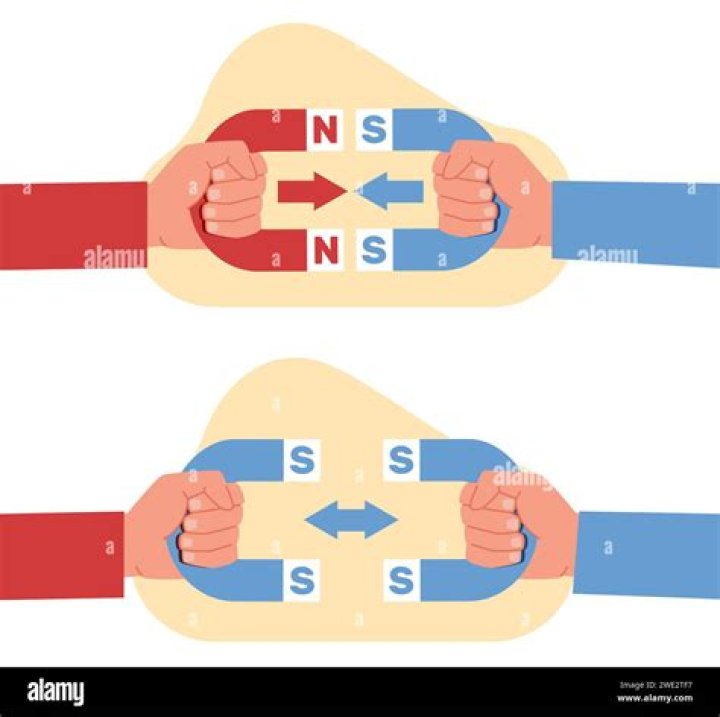 Unveiling The Secrets Of Leadership, Innovation, And Strategy With Suzanne Ekeler-Adams