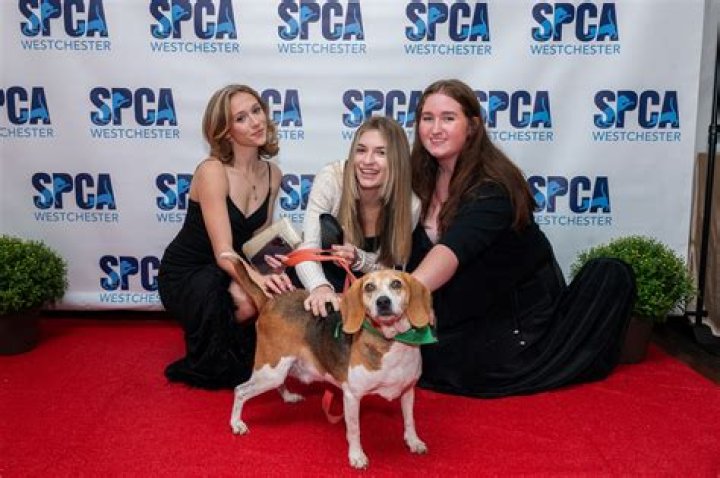 Unveiling The SPCA Of Westchester NY