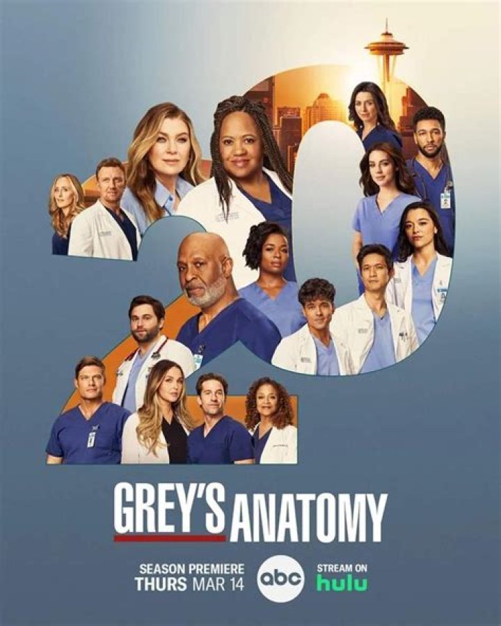 Unveiling The Truth: How Accurate Is Grey's Anatomy?