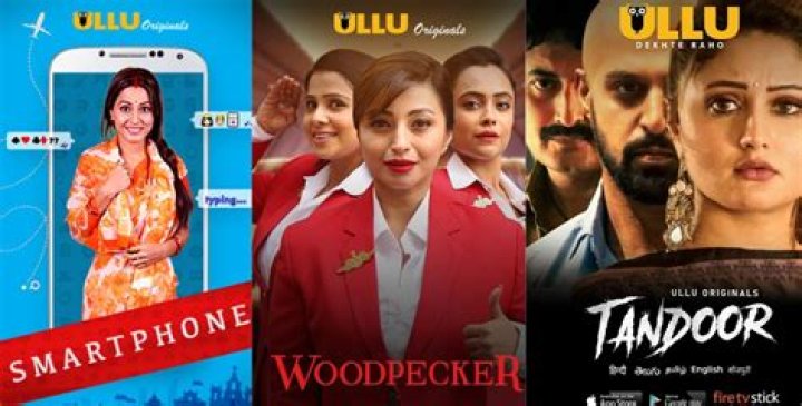 Unveiling the Ullu Wab Series: A Thrilling Journey into Digital Entertainment