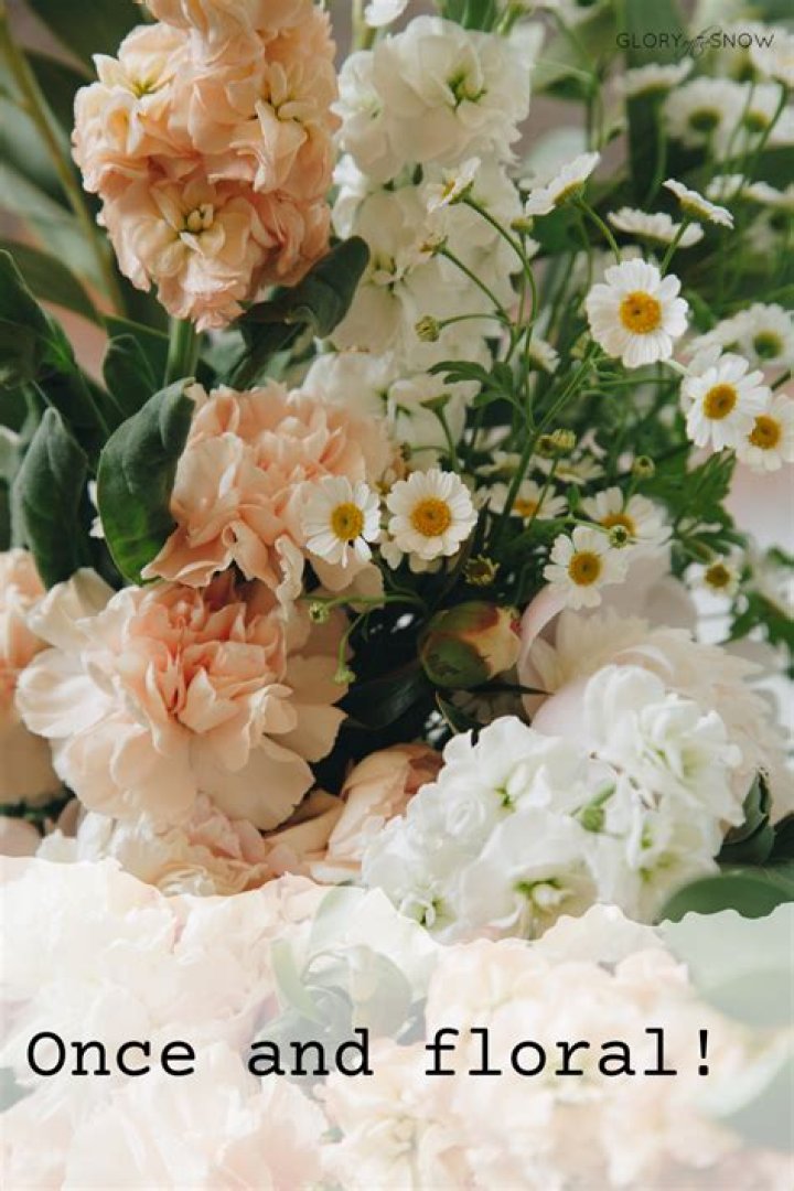 Unveiling The Witty World Of Mother's Day Flower Puns: A Linguistic Bouquet