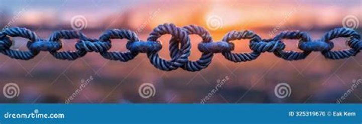 Unwavering Loyalty And Enduring Bonds