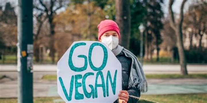 Vegamove: Revolutionizing the Vegan Movement with Cutting-Edge Solutions