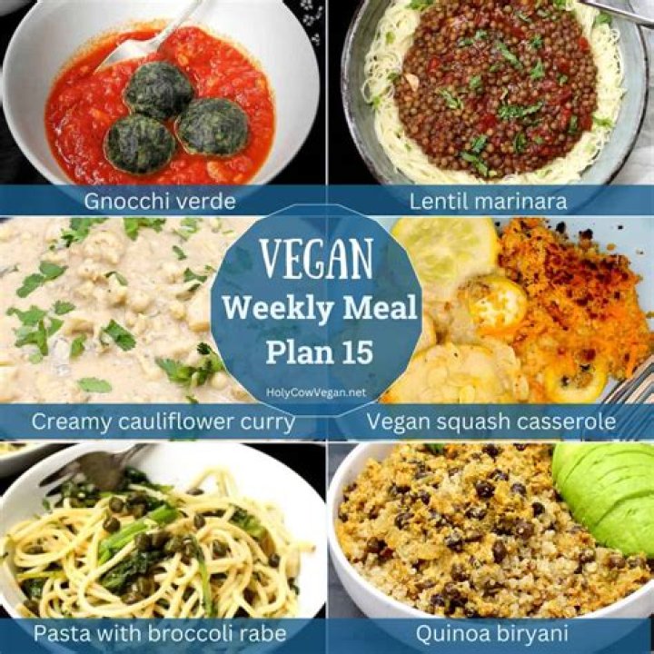 Vegamoveis: Your Ultimate Guide to Vegan Moving Solutions