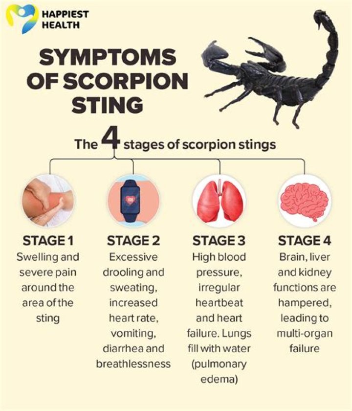 What Are Scorpion's Powers and Abilities? Unleashing the Mythical Strength
