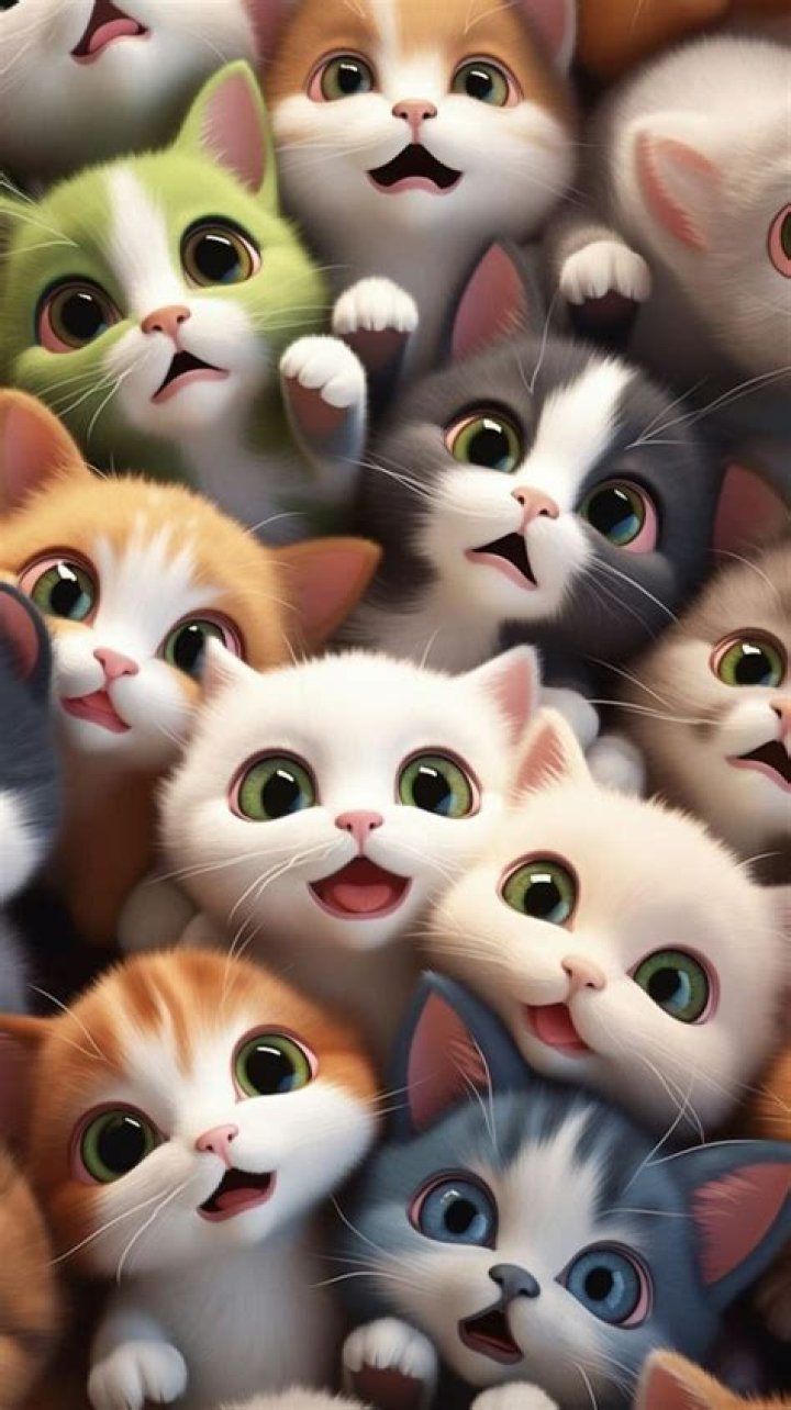 Whiskers On Screen: The Adorable World Of CatMovies